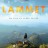 Lammet