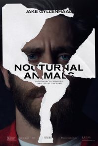 TIFF16: Nocturnal Animals